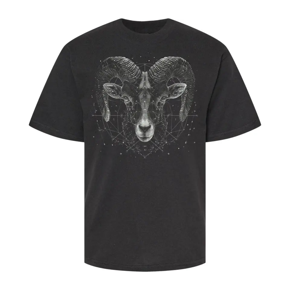 Playera Signo del Zodiaco Monochromatic Palette